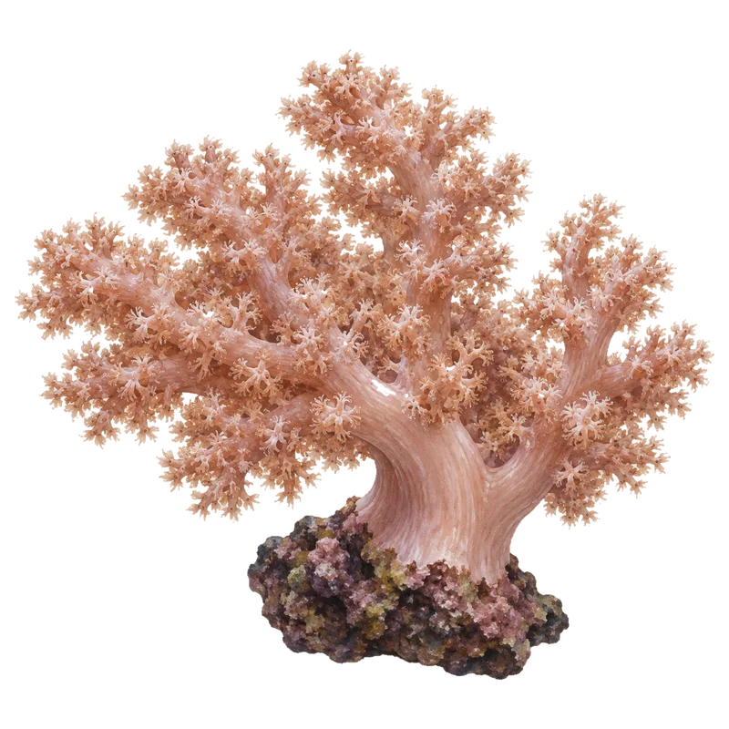 Kenya Tree, a reference illustration of the classic phenotype rather than a photograph of one coral
